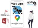 What are the Google Web APIs and what advantages they have