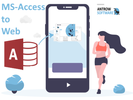 Tell me about app web Access